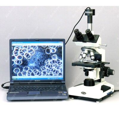 Blood Analysis (Live and Dry)